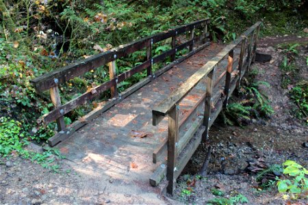 img_2026_trail-bridge2jpg_49364501841_o