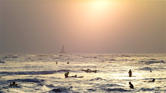 Sunset surfers, Hawaii
