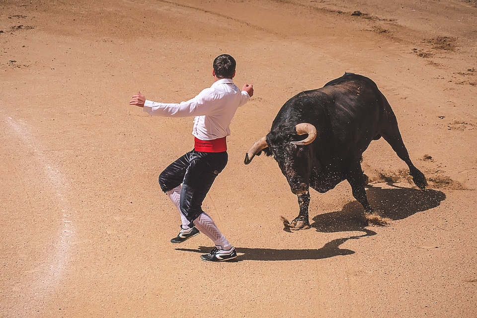Bullfighting in Madrid
