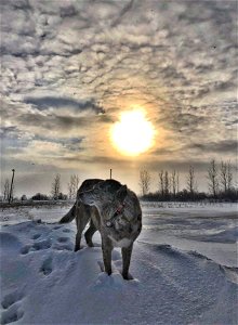 King of the Snow Hill
