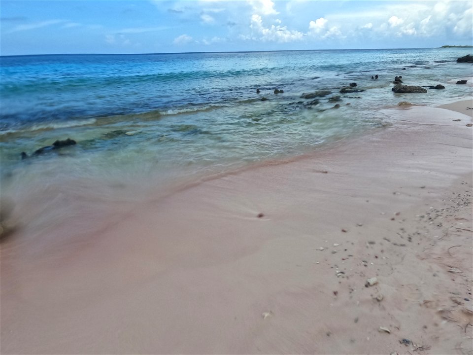 Pink Sand in Bonaire