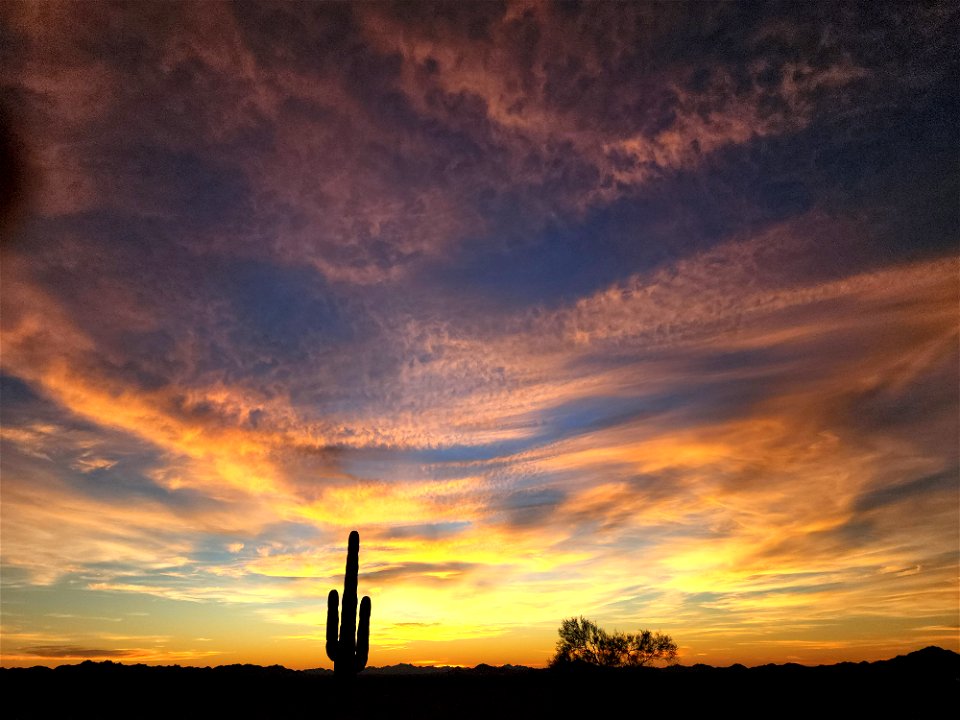 KOFA GAME RANGE , AZ (11-05-2022) -04