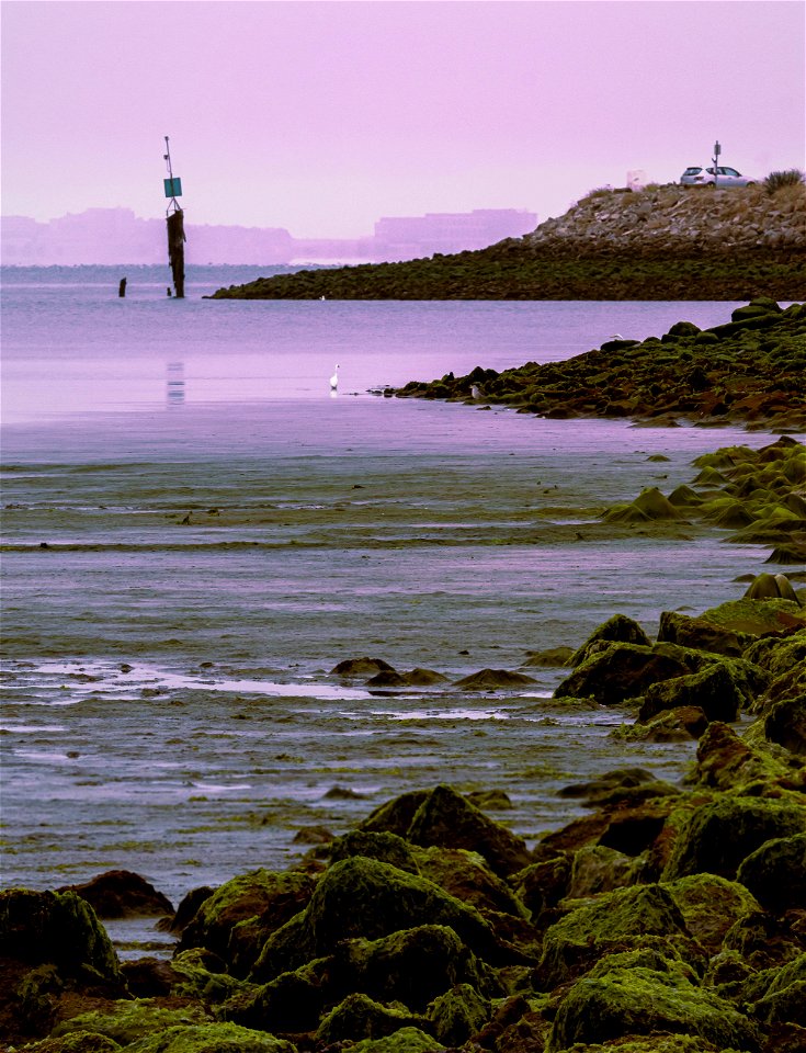 Crab Cove Coastline zoom