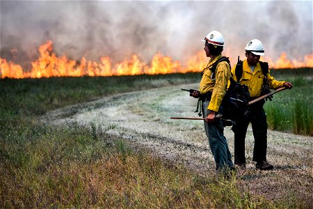 BLM’s Folsom Lake Veterans Crew perform RX Burn at Cosumnes River Preserve restoring critical habitat. photo