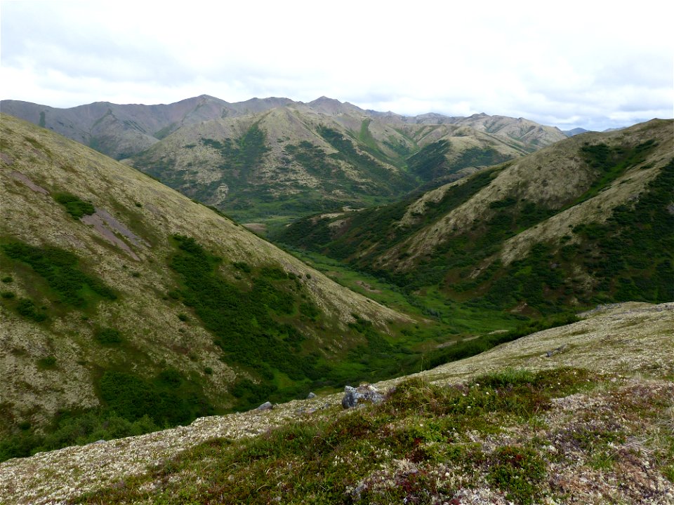 Kilbuck Mountains