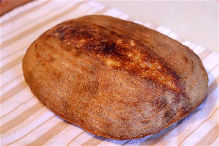 Sourdough