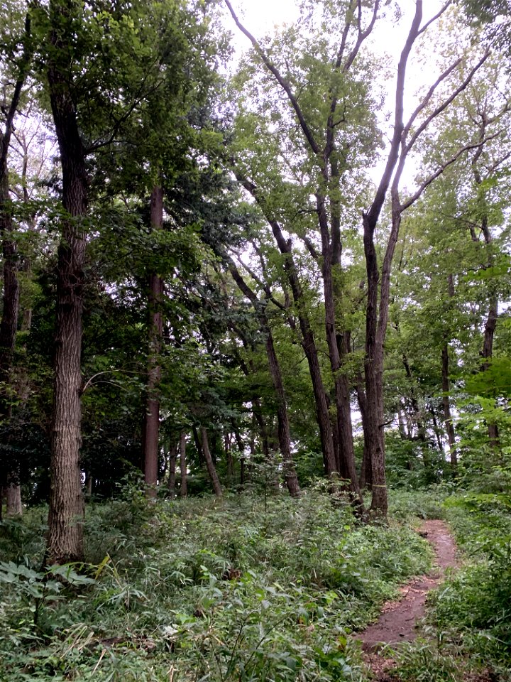 Kanayama Forest Square in Higashikurume-shi