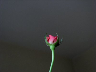 trandfmic_timelaps2011_1108_093209