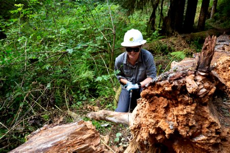 PNTA-Swift Creek-Mount Baker-33