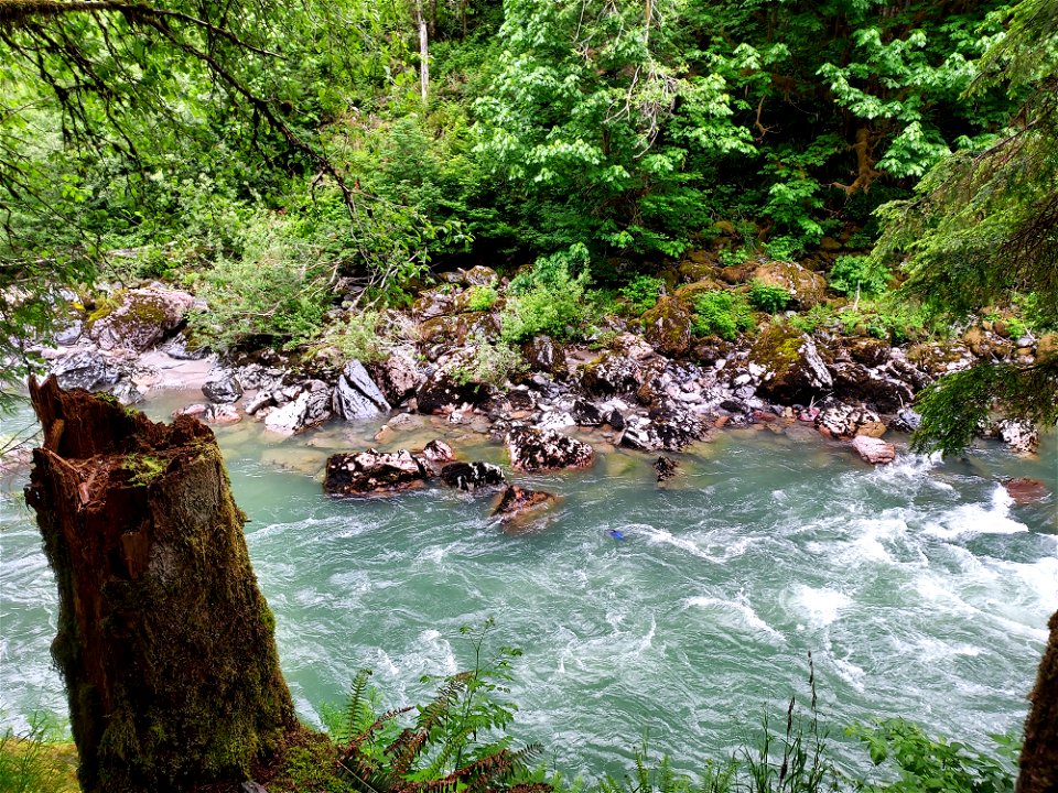 Stillaguamish River near Verlot, Mt. Baker-Snoqualmie National Forest. Photo by Anne Vassar June 9, 2021.