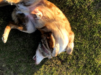 Doing the Summer Roll
