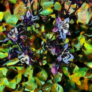 floral_DAP_FeltTip_V7 Le Roy