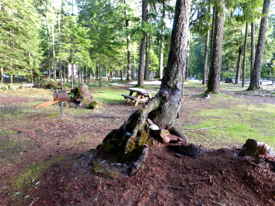 sucgjpg_49364678051_o