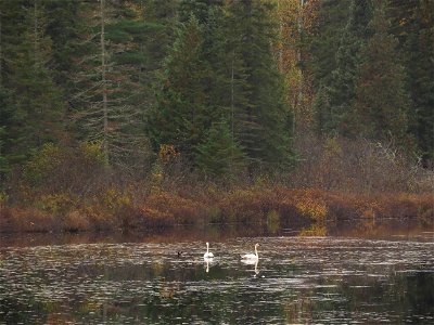 20211005-FS-Superior-SAR-001