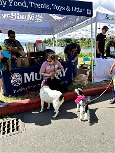 IMG_1179