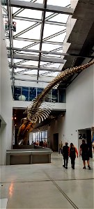 IMG_20220626_170004