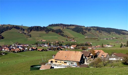 IMG_20211106_143751