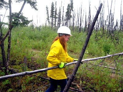 2015_Tetlin_YCC (7)