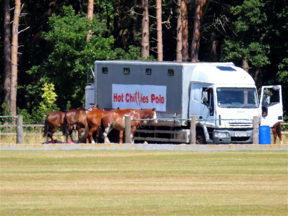 Cheshire Polo Club