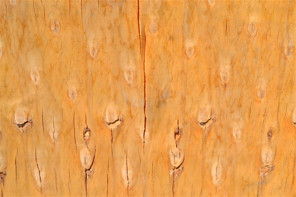 Texture