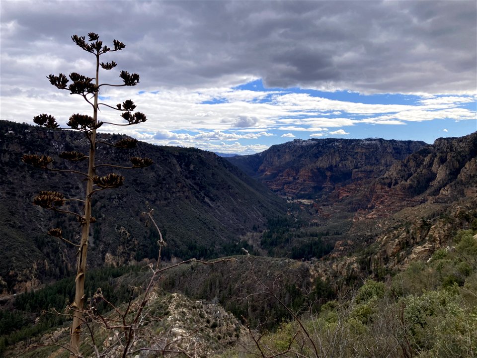 A.B. Young Trail