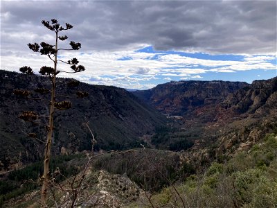 A.B. Young Trail photo