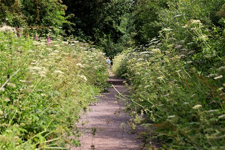 Wheelock Rail Trail photo