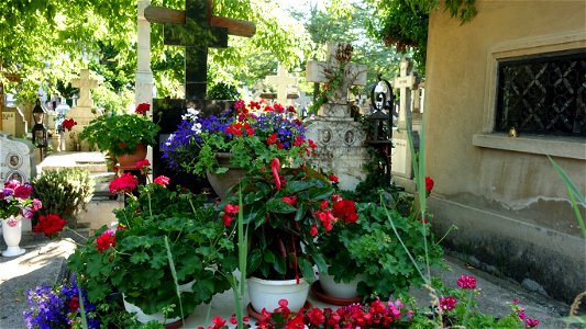 DSC08067