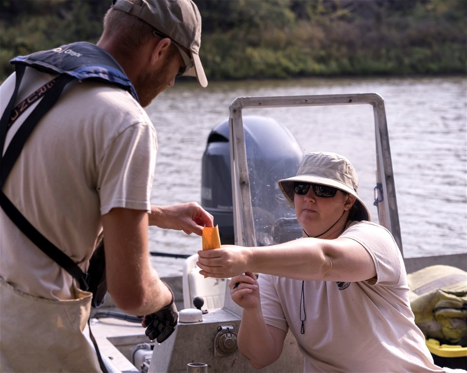 Invasive Carp Research on the James River in South Dakota. Photo: Sam Stukel (USFWS)