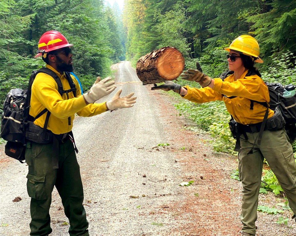 Firefighters moving slash Cedar Creek Fire Willamette National Forest Oregon 080822