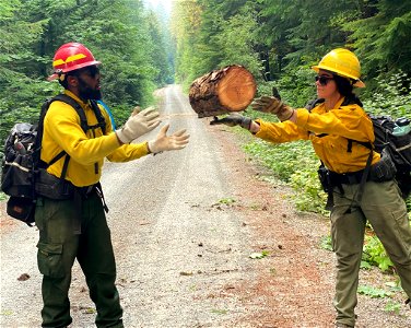 Firefighters moving slash Cedar Creek Fire Willamette National Forest Oregon 080822 photo