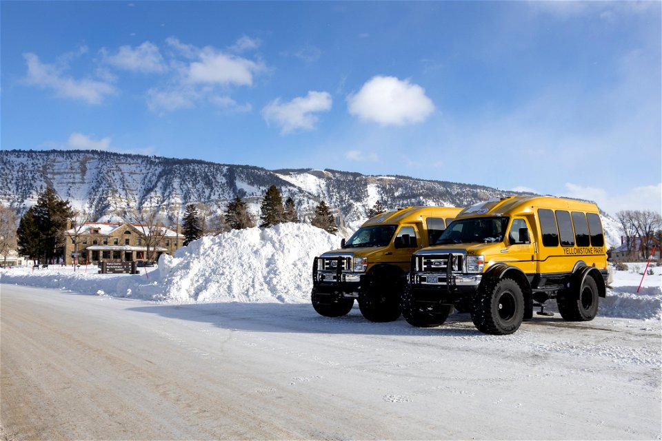 Snowcoaches in front of a pile of snow in Mammoth Hot Springs (3)