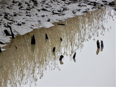 Ancient Remains River Medway