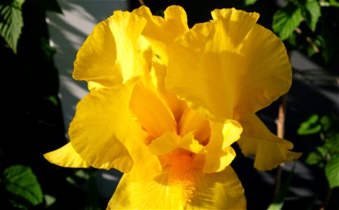 DSC05153