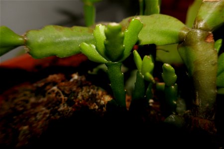 fabulous-foliage_2016_1005_064429