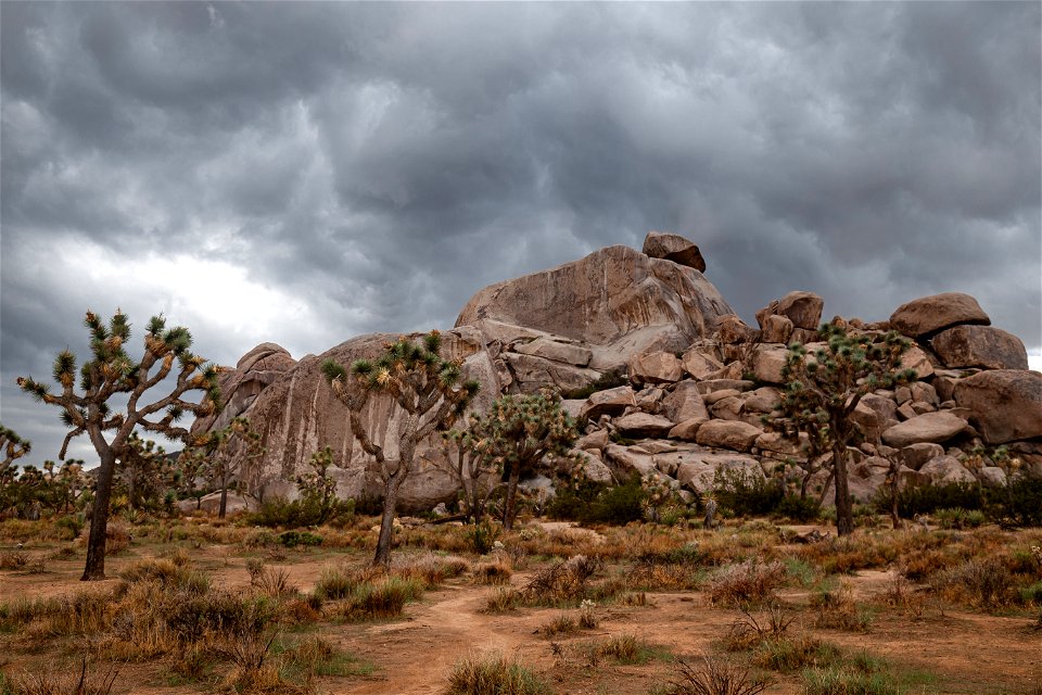 Cap Rock Weeps in Rain