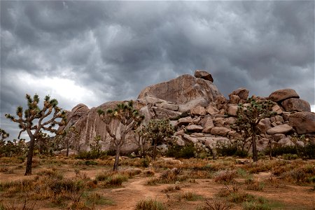 Cap Rock Weeps in Rain photo
