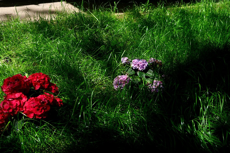 Sfanta-Vineri_cemtery- (14)