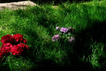 Sfanta-Vineri_cemtery- (14)