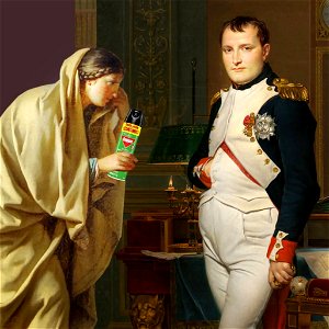 Napoleon and the fleas photo