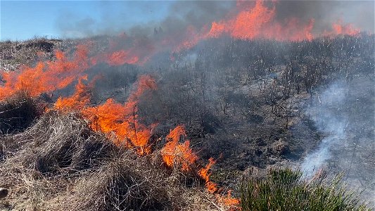 Siuslaw Oregon Dunes Prescribed Burn 2022