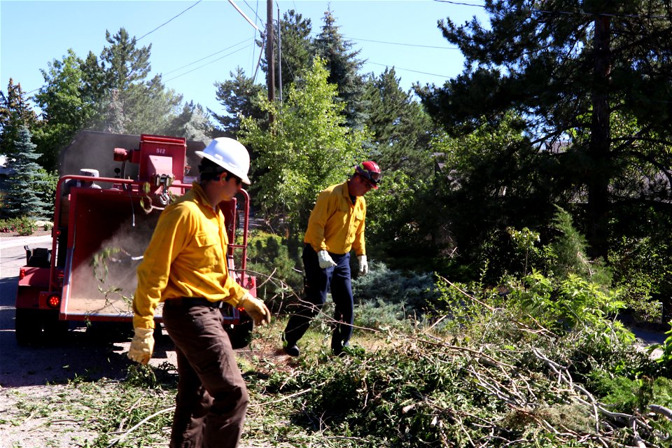 Wood Chipping in Boise