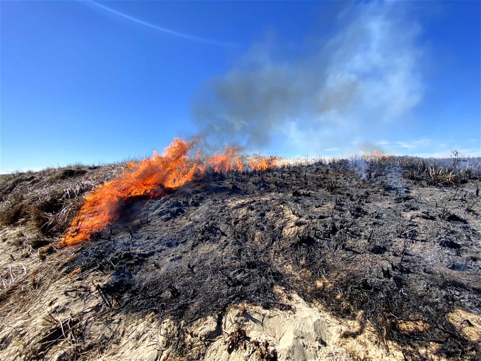 Siuslaw Oregon Dunes Prescribed Burn 2022