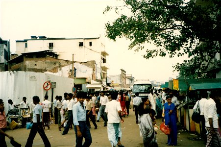 Early Trips to Sri Lanka photo