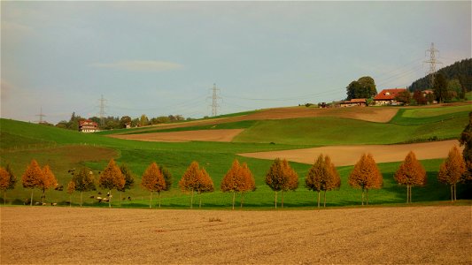 DSC00831