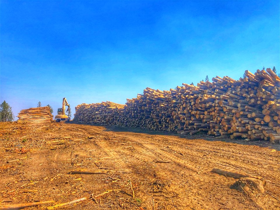 Fuels Management - USFWS 2022 Photo/Video Contest