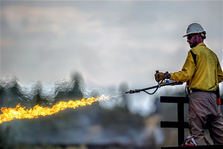 Winner 2022 BLM Fire Employee Photo Contest Category - Fuels Management photo