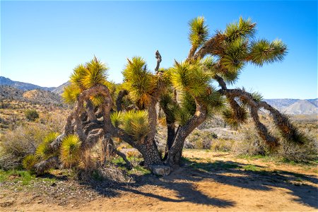 Walker Pass Campground