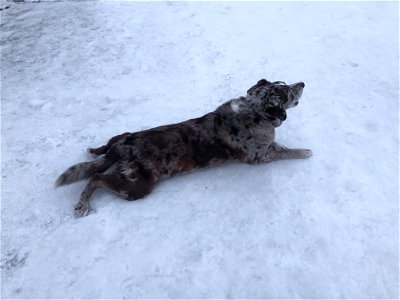 It's Not Cold At All!