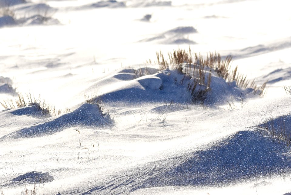 Sage steppe winter at Seedskadee NWR